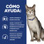 12 sobres x 85 g Hill's Prescription Diet Kidney Care k/d Pollo sobre para gatos, , large indicador imagen numero 3